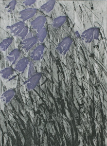 Deirdre McCrory - Harebells